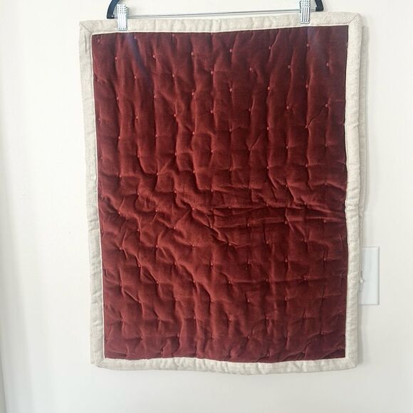 Biltmore Velvet Quilted Pillow Shams 20”c26” - Picture 1 of 6